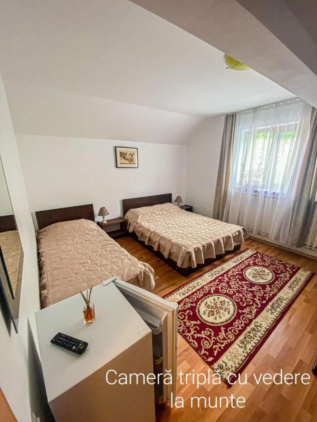 Casa Ryana Sinaia Hotel Ngoại thất bức ảnh